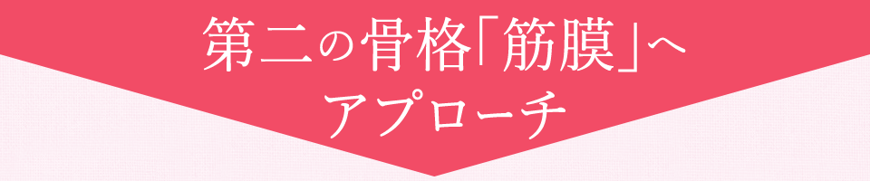 第二の骨格「筋膜」へアプローチ